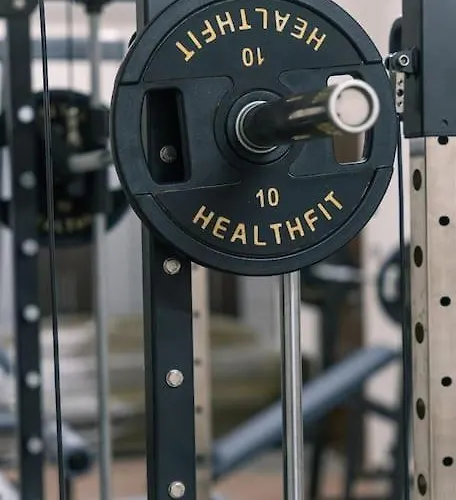 Βίλα Manu, A Fair Living